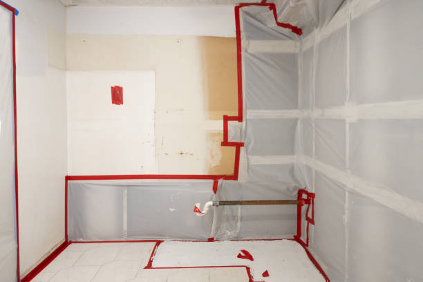 Best Post-Remediation Verification Testing  in Beesleys Point, NJ