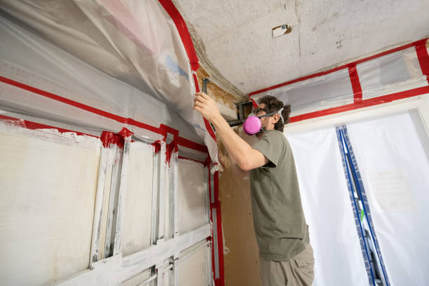 Best Air Quality Testing for Mold Spores  in Beesleys Point, NJ
