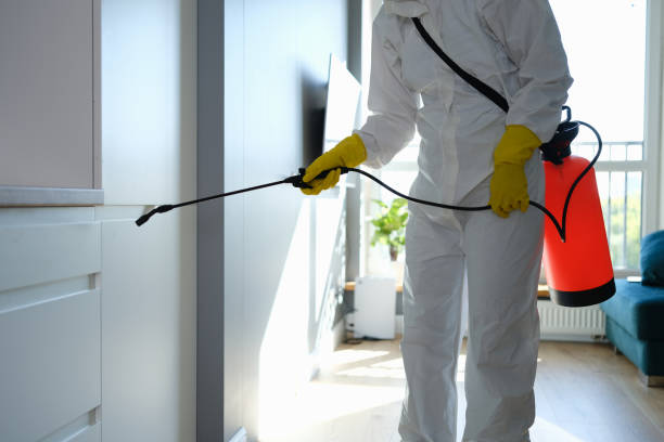 Best Airborne Mold Testing  in Beesleys Point, NJ